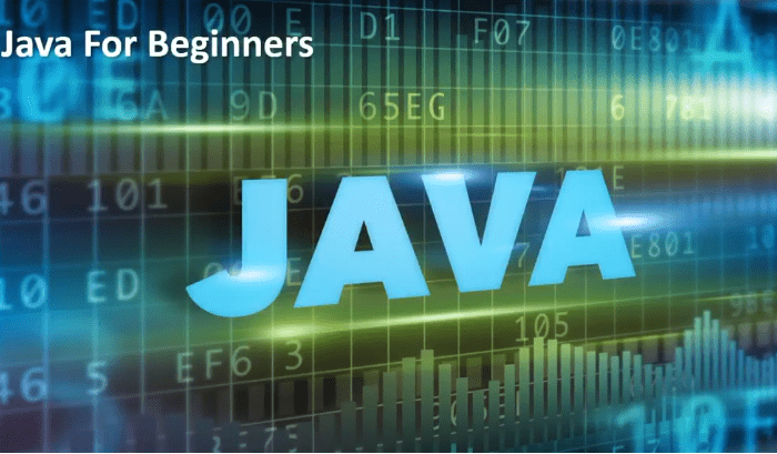 Java For Beginners