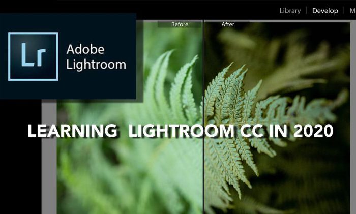 Learning Lightroom CC Classic in 2020