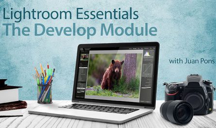 Lightroom-Essentials-The-Develop-Module