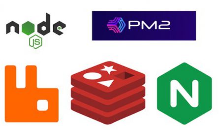 Node-JS-Cluster-with-PM2-RabbitMQ-Redis-and-Nginx