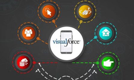 Salesforce-Visualforce-Development