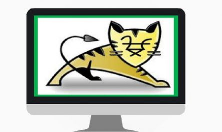 Apache-Tomcat-Server-from-Beginners-to-Advanced