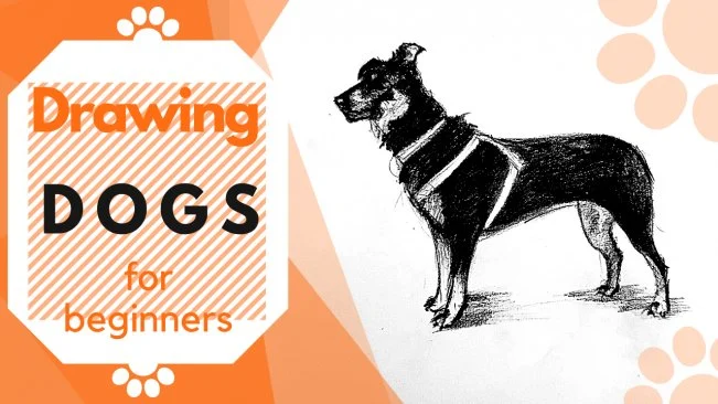 Drawing Dogs: Basic Techniques to Improve Your Canine Illustrations