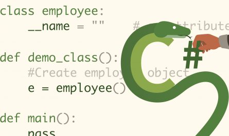 Python-for-the-C-Developer