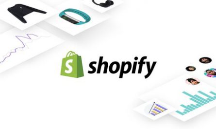 The-Beginner-Shopify-Aliexpress-Dropship-course
