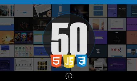 50-Projects-In-50-Days-HTML-CSS-JavaScript