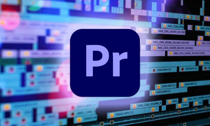 Adobe Premiere Pro 2021: Video Editing for Beginners