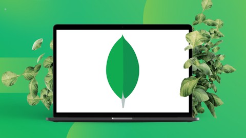 MongoDB for Beginners 