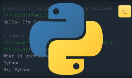 Python-For-Beginners-Become-Python-Programer-in-6.5-Hours