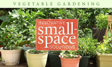 Vegetable-Gardening-Innovative-Small-Space-Solutions