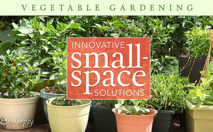 Vegetable Gardening: Innovative Small-Space Solutions