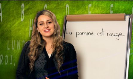SUPER-BASIC-FRENCH-learn-the-french-language-today