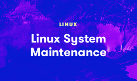 Linux System Maintenance