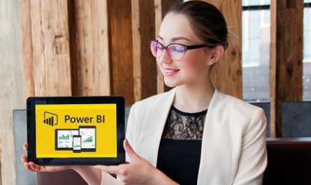 SQL Server Developer : Using SQL Server, TSQL and Power BI