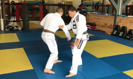 Martial Arts Mastery - Arm Drag Judo