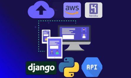 Django REST API With Python & DRF (All you Need to Know)