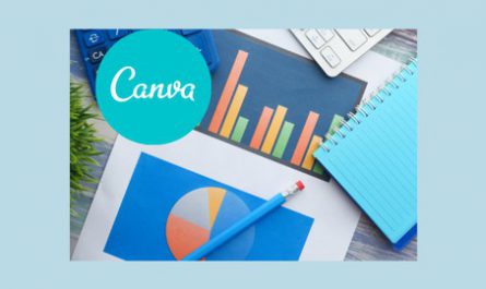 Infographics Design for Free w/ Canva: Infographics,Lot More