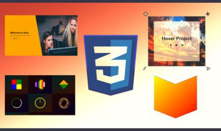 All in 1 CSS Course : Learn CSS, Sass, Grid, Flex, Animation