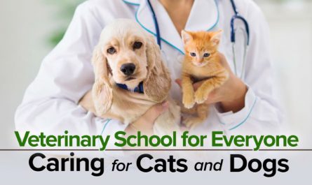 Veterinary School for Everyone: Caring for Cats and Dogs