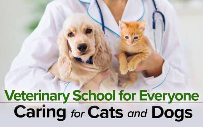 Veterinary School for Everyone: Caring for Cats and Dogs