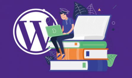 Become a WordPress Developer Build Premium Themes & Plugins