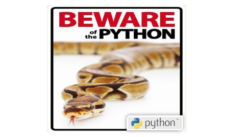 Complex, yet VITAL, Python Development topics, explained!