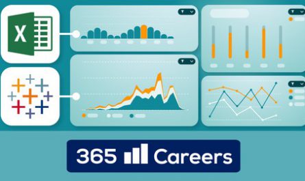 Professional Dashboards in Excel and Tableau