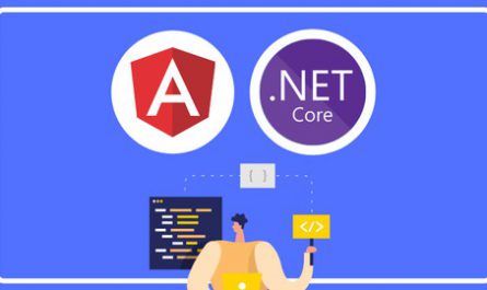Build Amazing Apps With ANGULAR and ASP.NET Core REST API