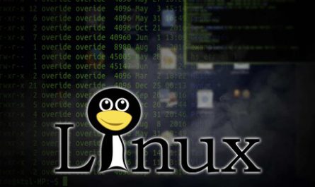 Master Linux and shell script from basic to Pro