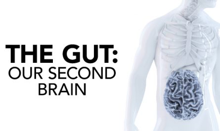 The Gut Our Second Brain