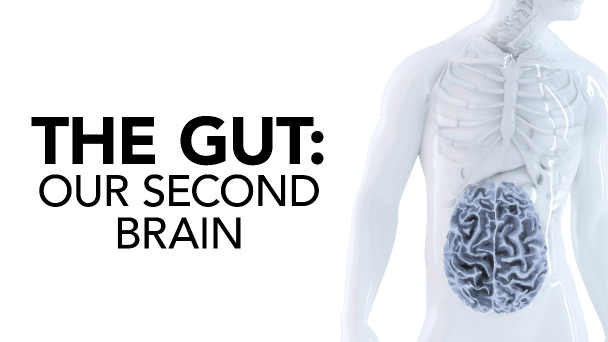 The Gut Our Second Brain