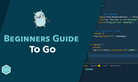 The Beginners Guide To Go