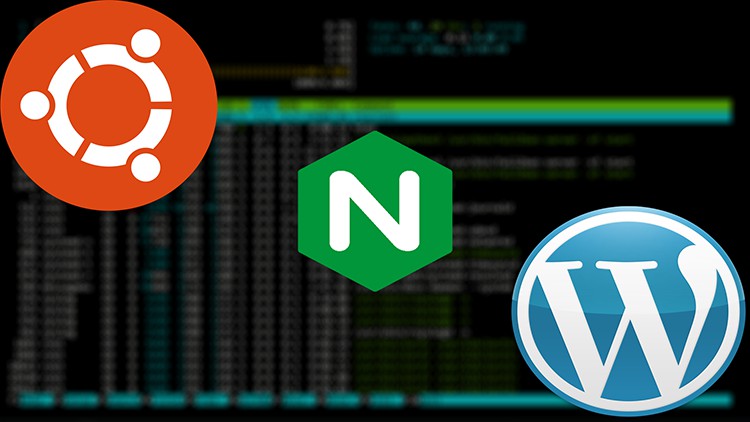 The Perfect Nginx Server - Ubuntu (22.04) Edition