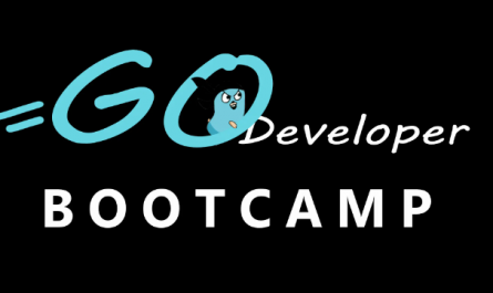 Go Developer Bootcamp