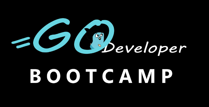 Go Developer Bootcamp