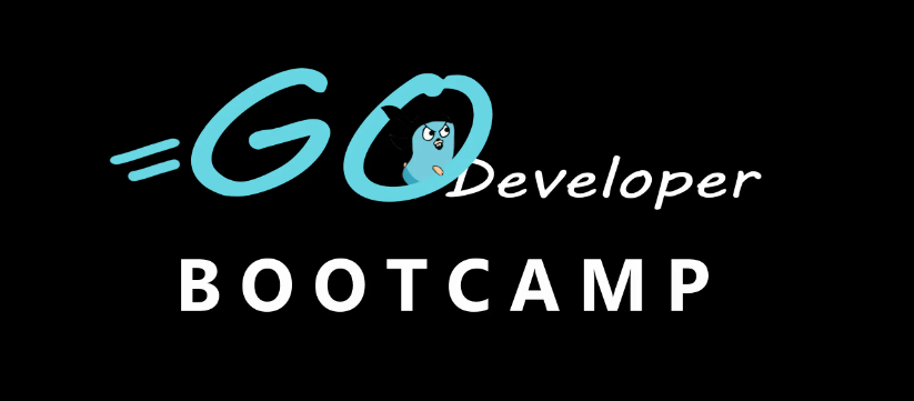 Go Developer Bootcamp