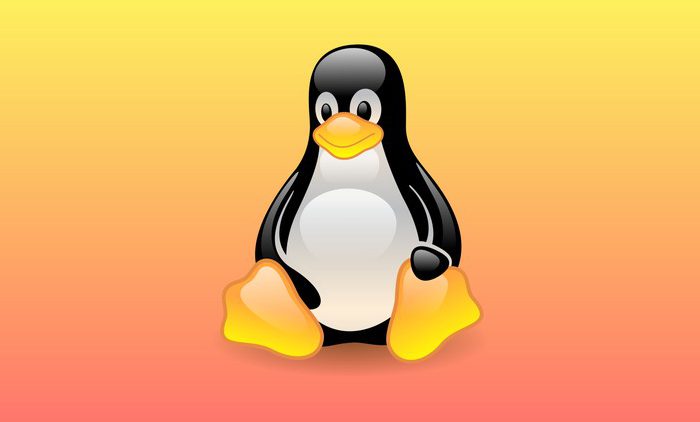 Learn Linux Commands Easily