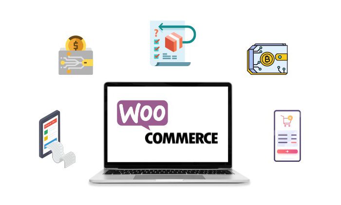Advanced Woo-commerce customization Training for Freelancers