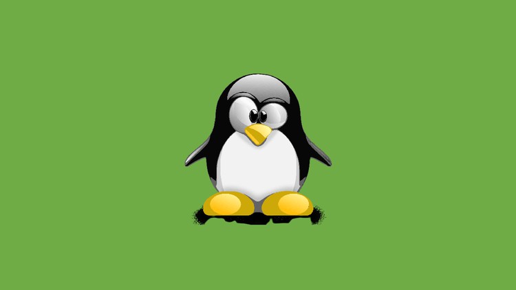 Linux for Devops Engineers and Developers