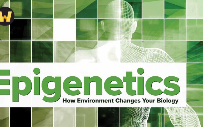 Epigenetics: How Environment Changes Your Biology