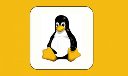 Learn Linux From The Scratch and prepare for Job Interview