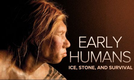 Early Humans Ice, Stone, and Survival