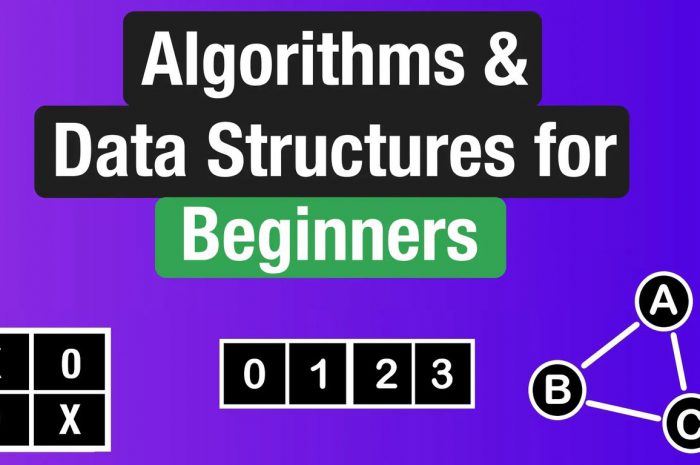 Algorithms & Data Structures for Beginners