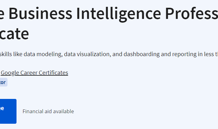 Google Business Intelligence Professional Certificate