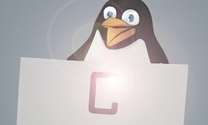 The Beginner’s guide to Advanced C coding in Linux