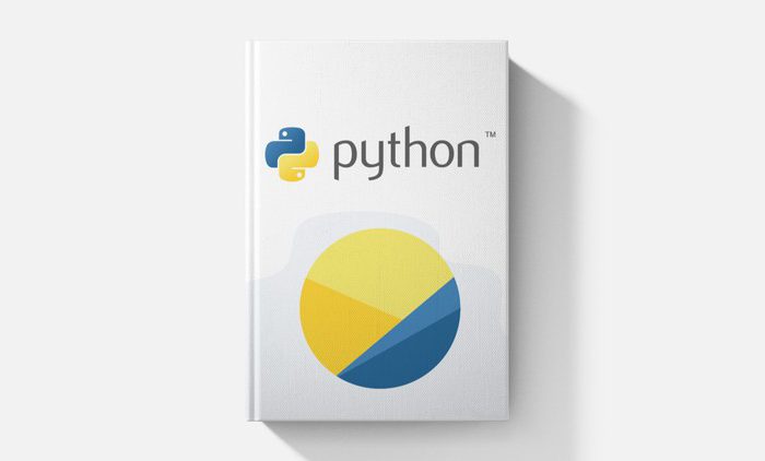 Python: The Professional Guide For Beginners