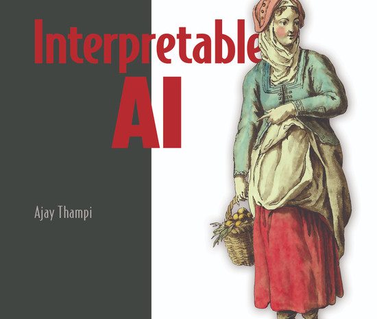 Interpretable AI, Video Edition