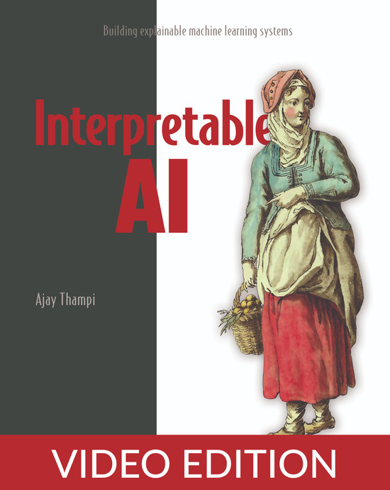Interpretable AI